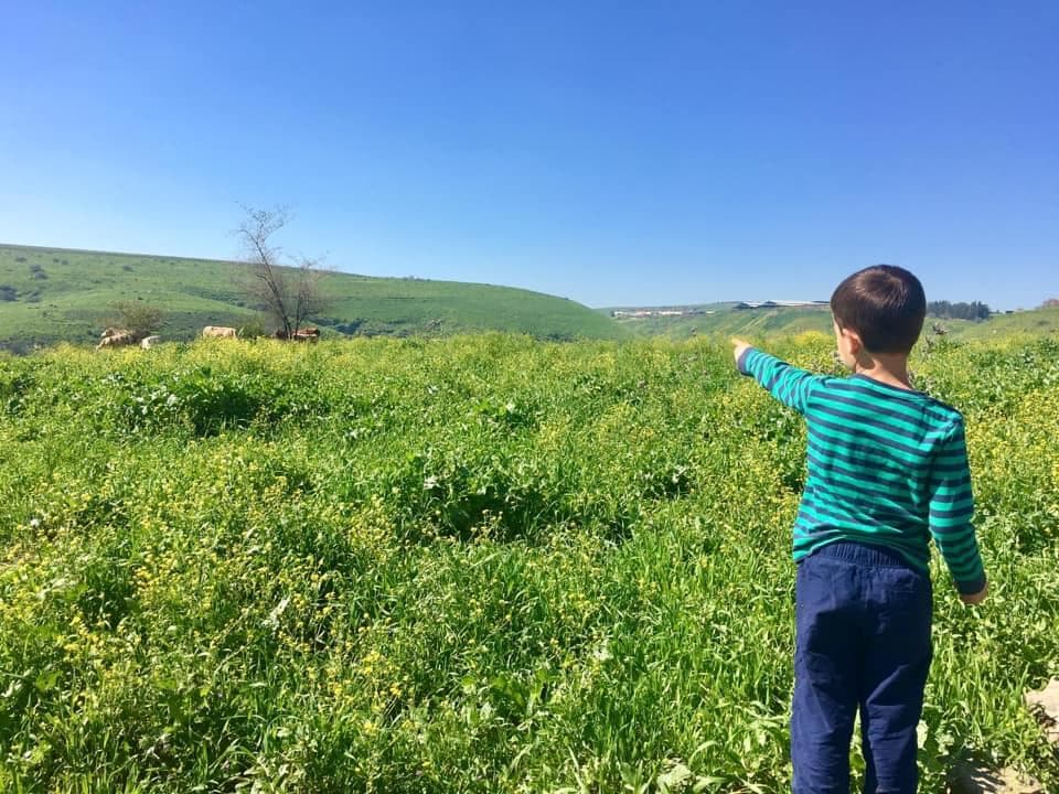 נחל תבור – מצפה אורן ליפשיץ