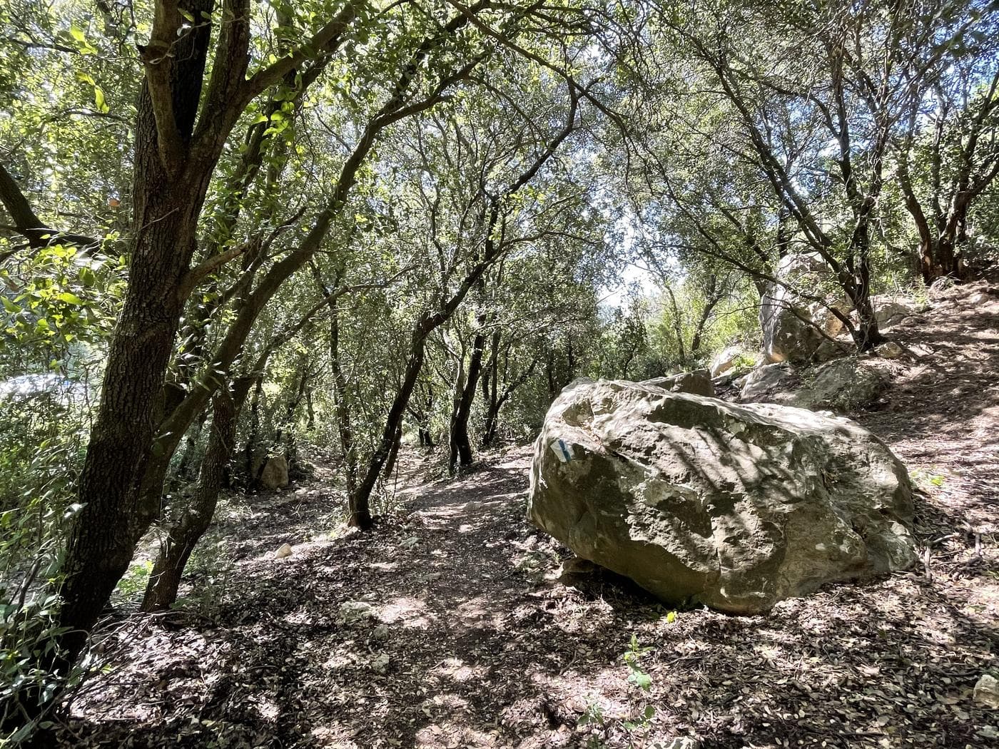 סובב משמר הכרמל – נחל אורן