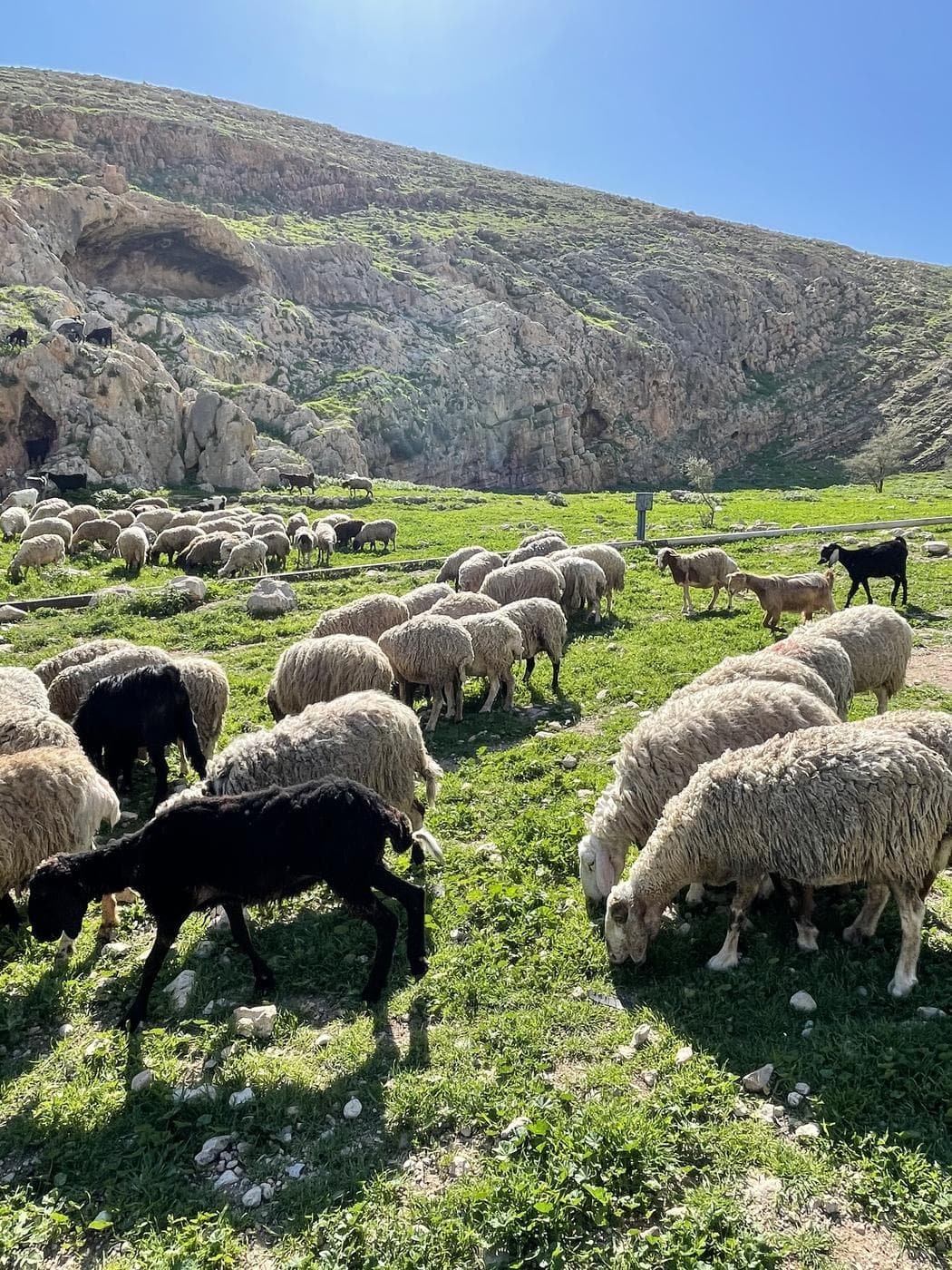 עיינות פצאל – עין אפרים, בקעת הירדן - תמונה מהטיול