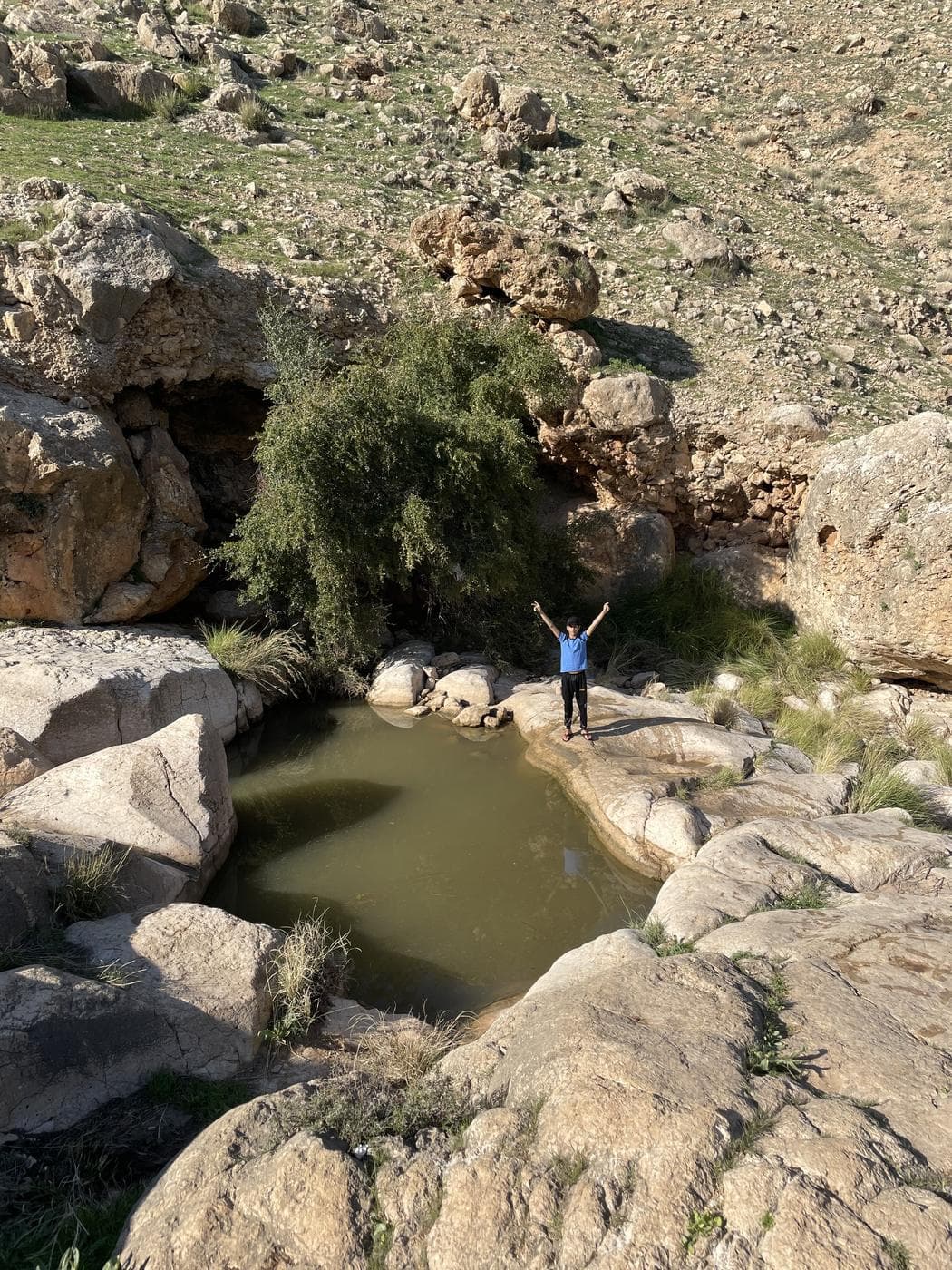 עיינות פצאל – עין אפרים, בקעת הירדן - תמונה 3