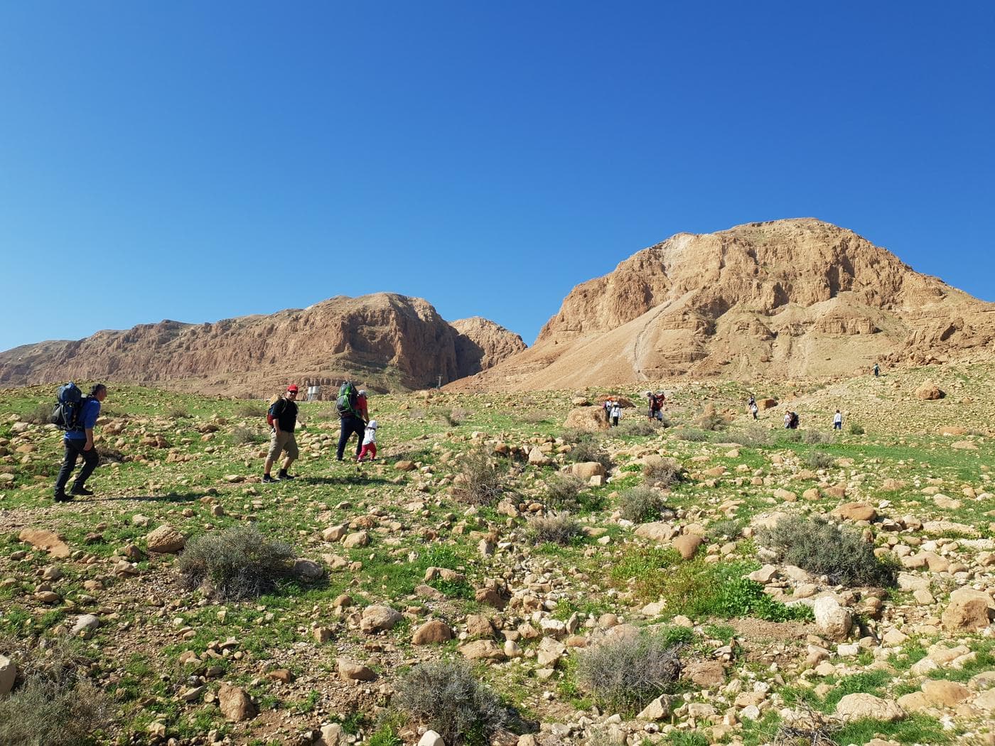 עיינות צוקים – שמורת הטבע הנמוכה בעולם