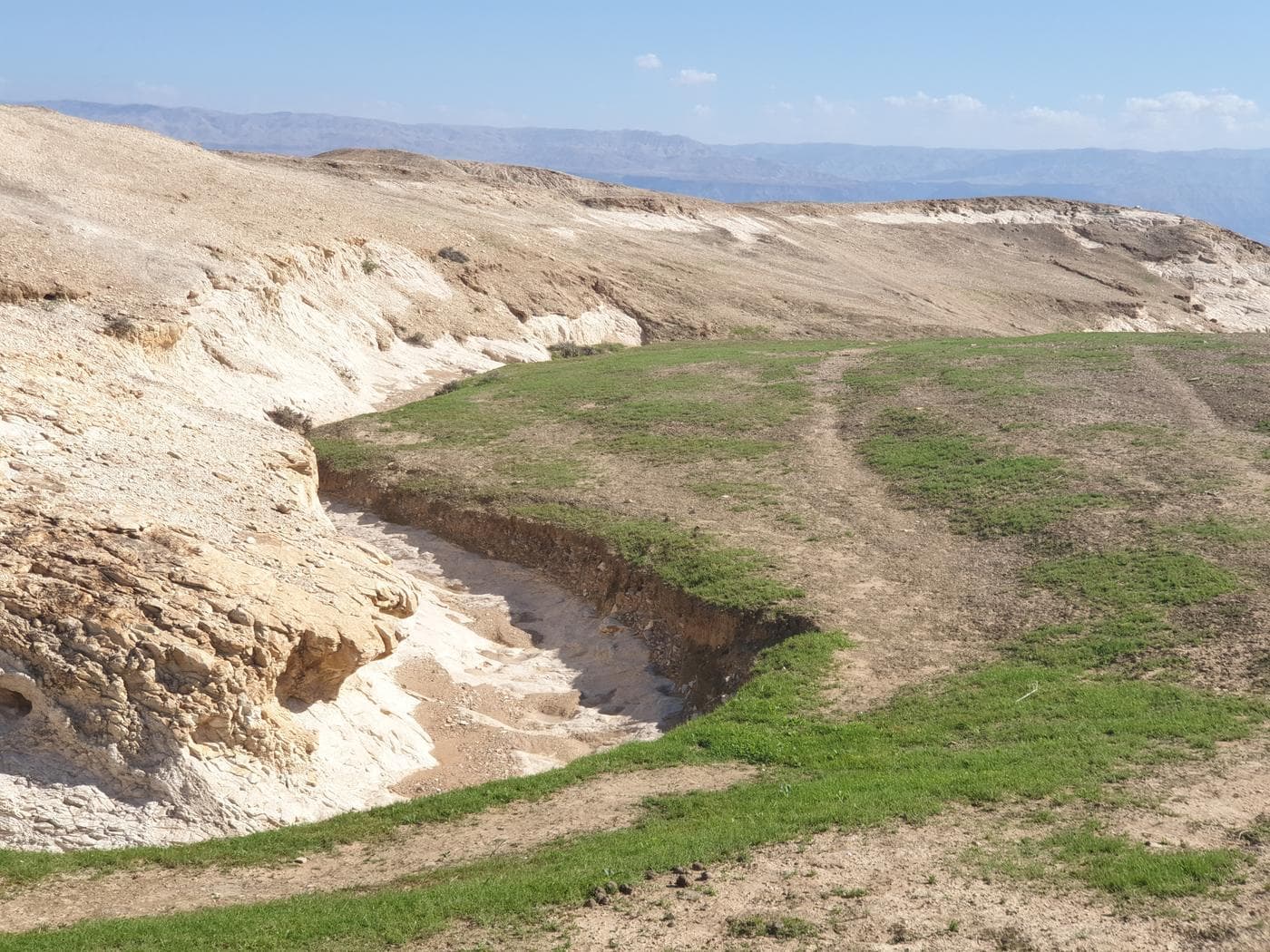 עיינות צוקים – שמורת הטבע הנמוכה בעולם - תמונה מהטיול