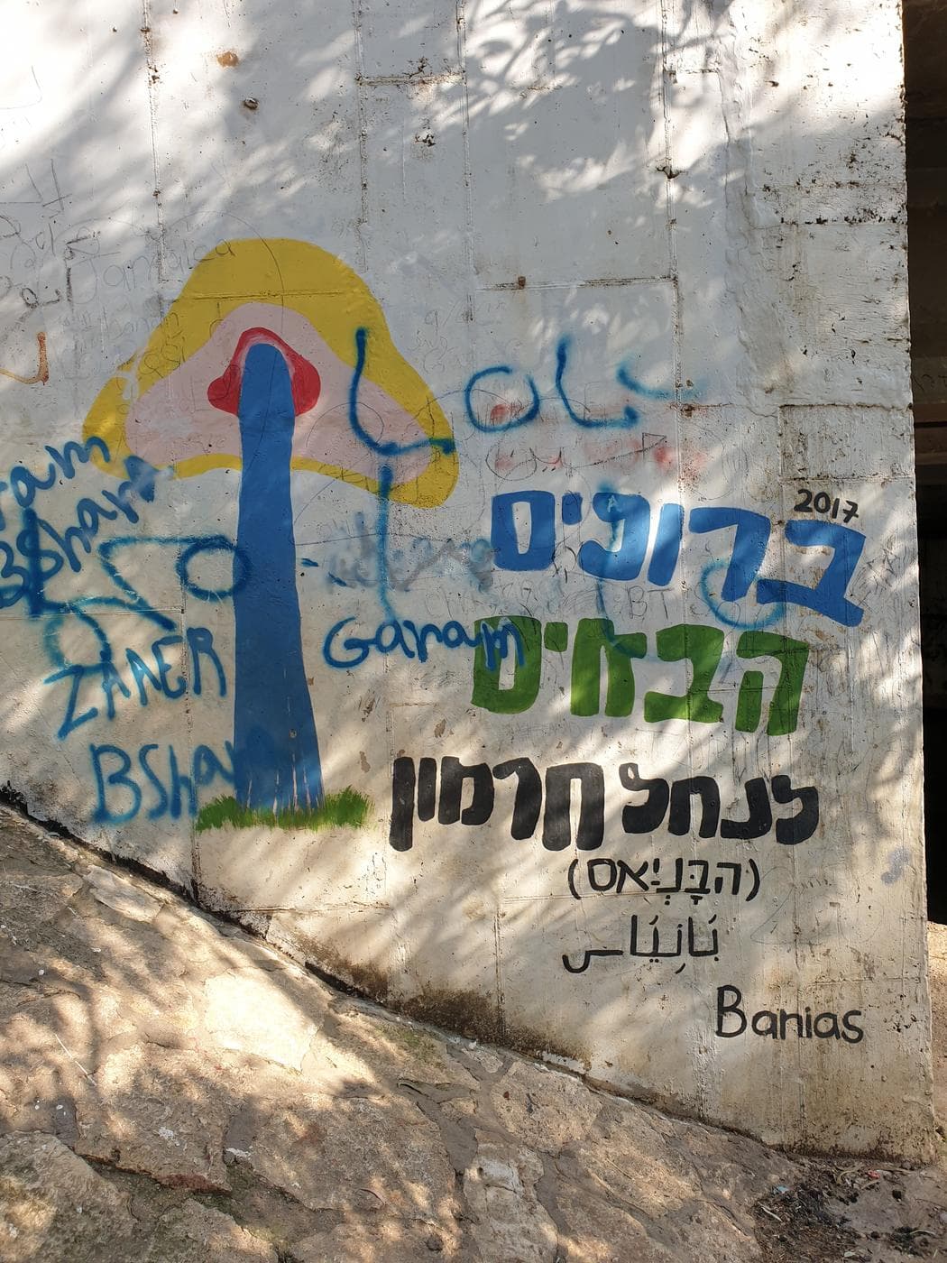 עין מנצור – פינה נסתרת בנחל חרמון, גליל עליון - תמונה מהטיול