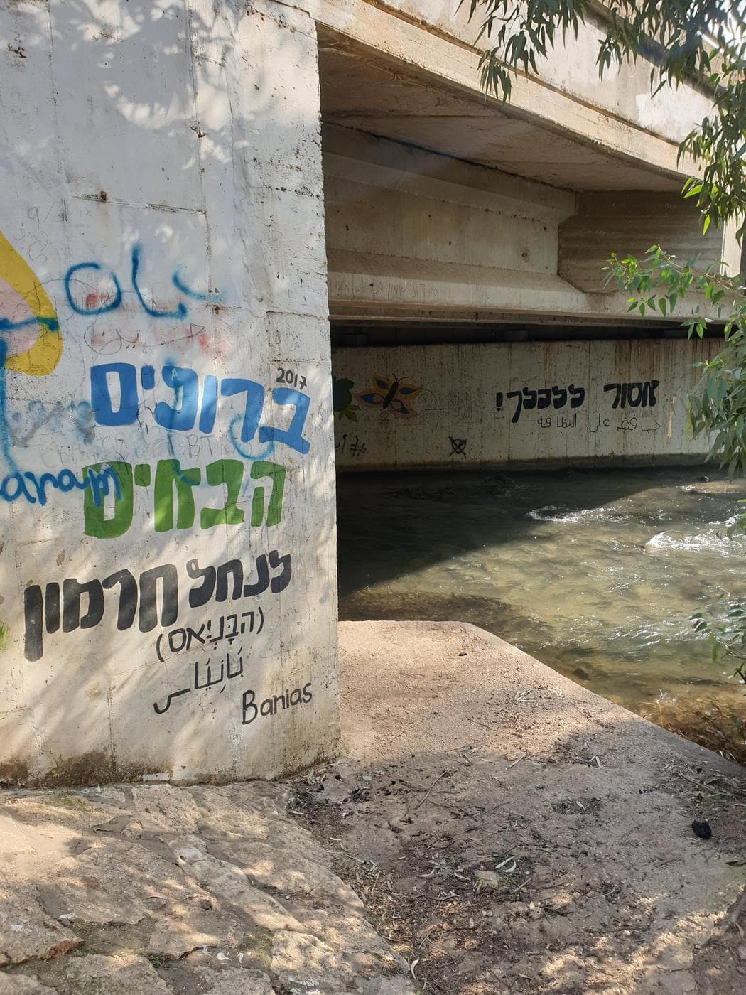 עין מנצור – פינה נסתרת בנחל חרמון, גליל עליון - תמונה 3