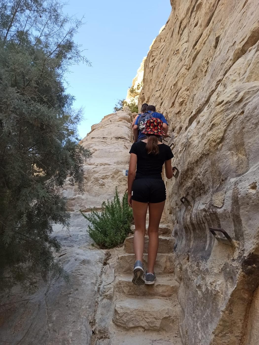 עין עבדת – קניון, מפל ויעלים, הר הנגב - תמונה מהטיול
