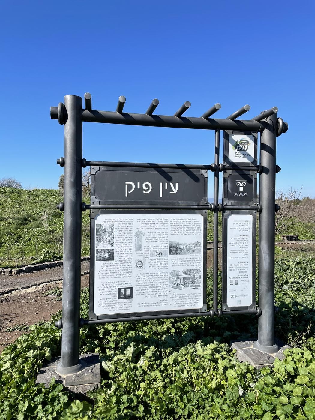 עין פיק – בריכה פושרת בכפר קדום, רמת הגולן - תמונה מהטיול