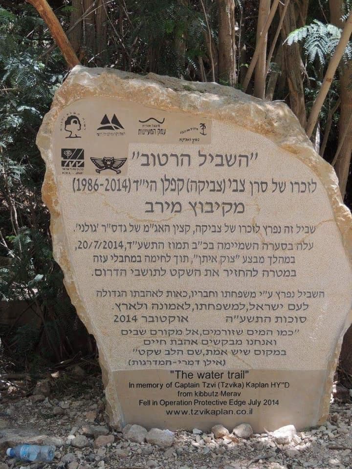עין שוקק – בריכת טורקיז בפארק המעיינות - תמונה מהטיול