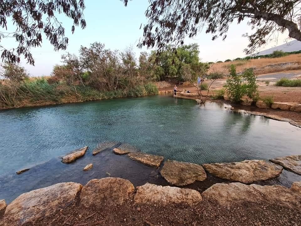 עין שוקק – בריכת טורקיז בפארק המעיינות - תמונה 4