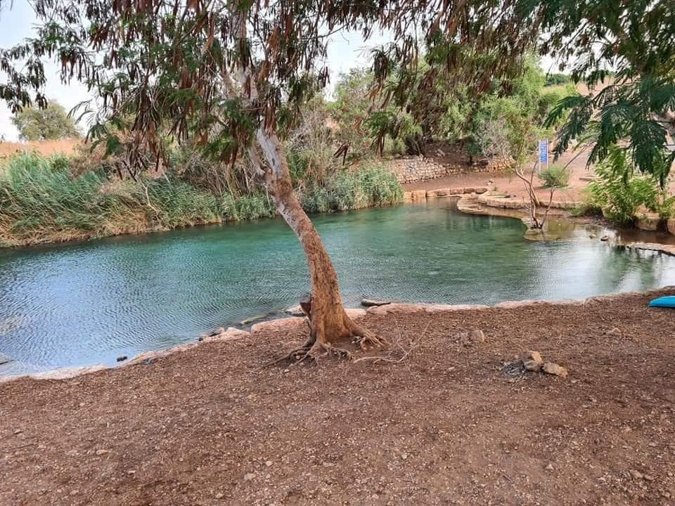 עין שוקק – בריכת טורקיז בפארק המעיינות - תמונה 3
