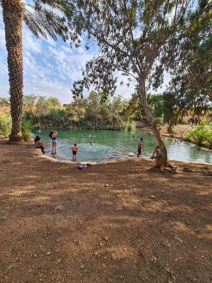 עין שוקק – בריכת טורקיז בפארק המעיינות - תמונה 5