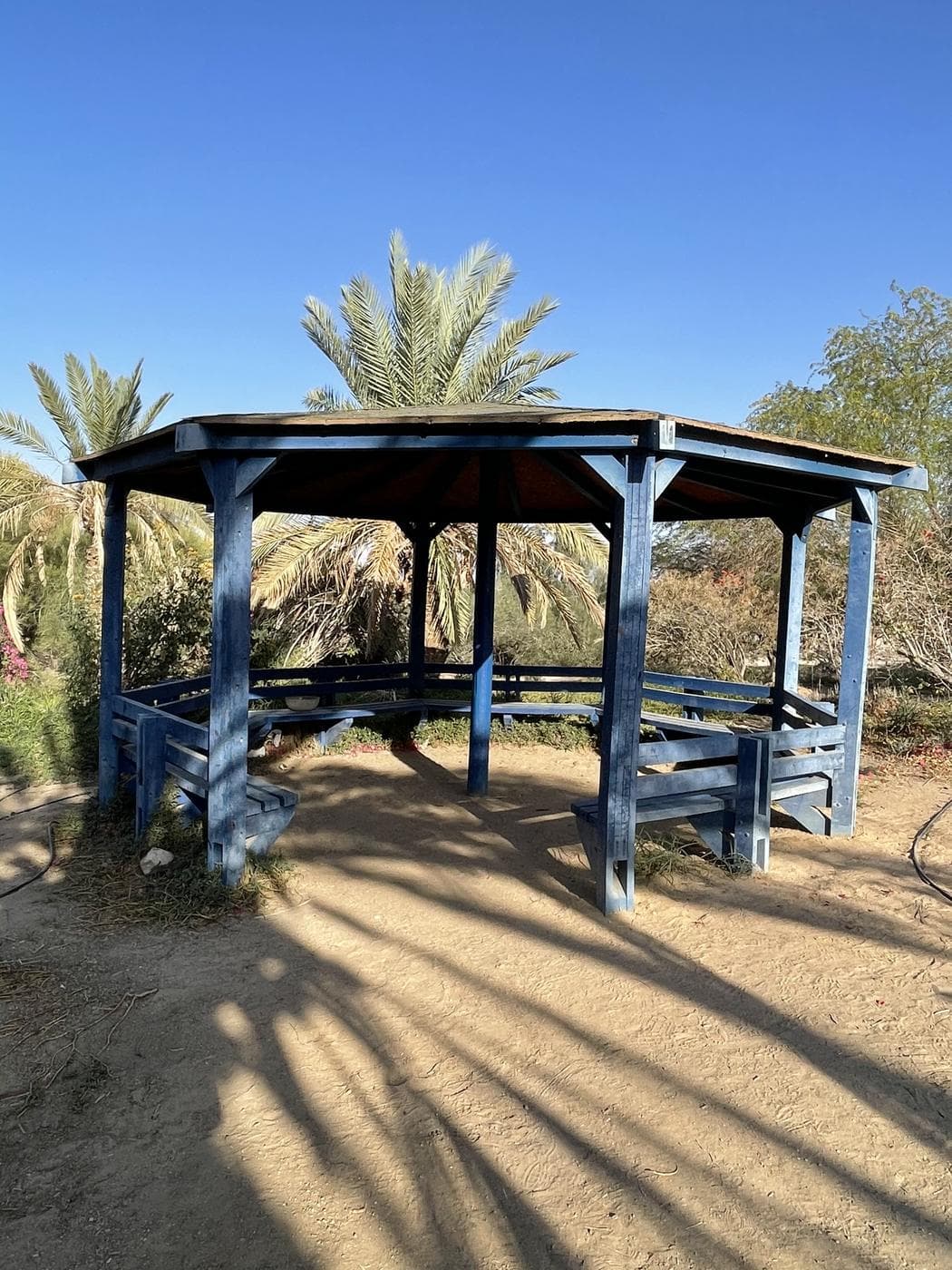 פארק ספיר – נווה מדבר בערבה - תמונה 3