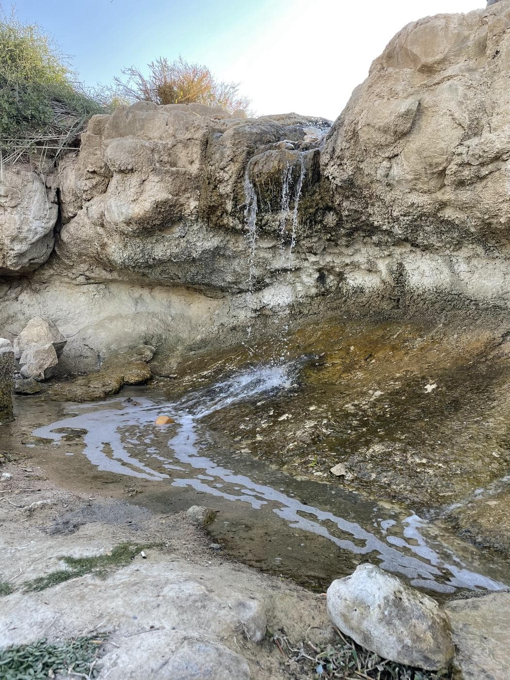 פארק ספיר – נווה מדבר בערבה - תמונה 5