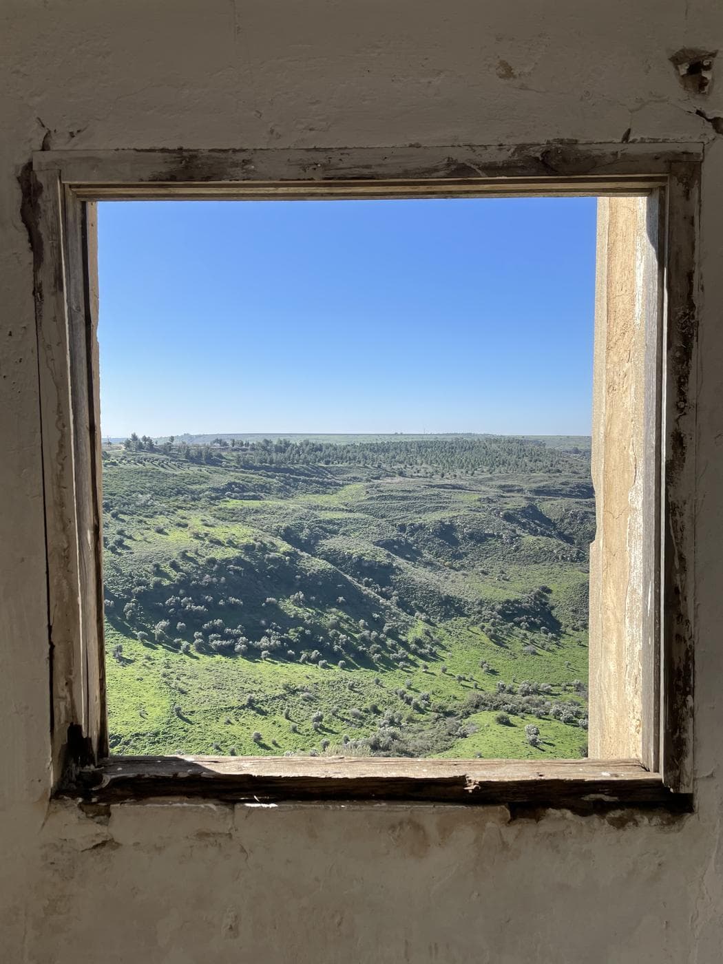 שביל אלי כהן – "האיש שלנו בדמשק" - תמונה 10