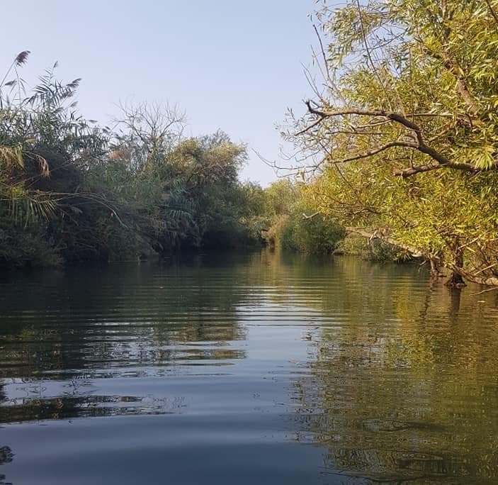 שמורת המג'רסה – נחל דליות - תמונה מהטיול