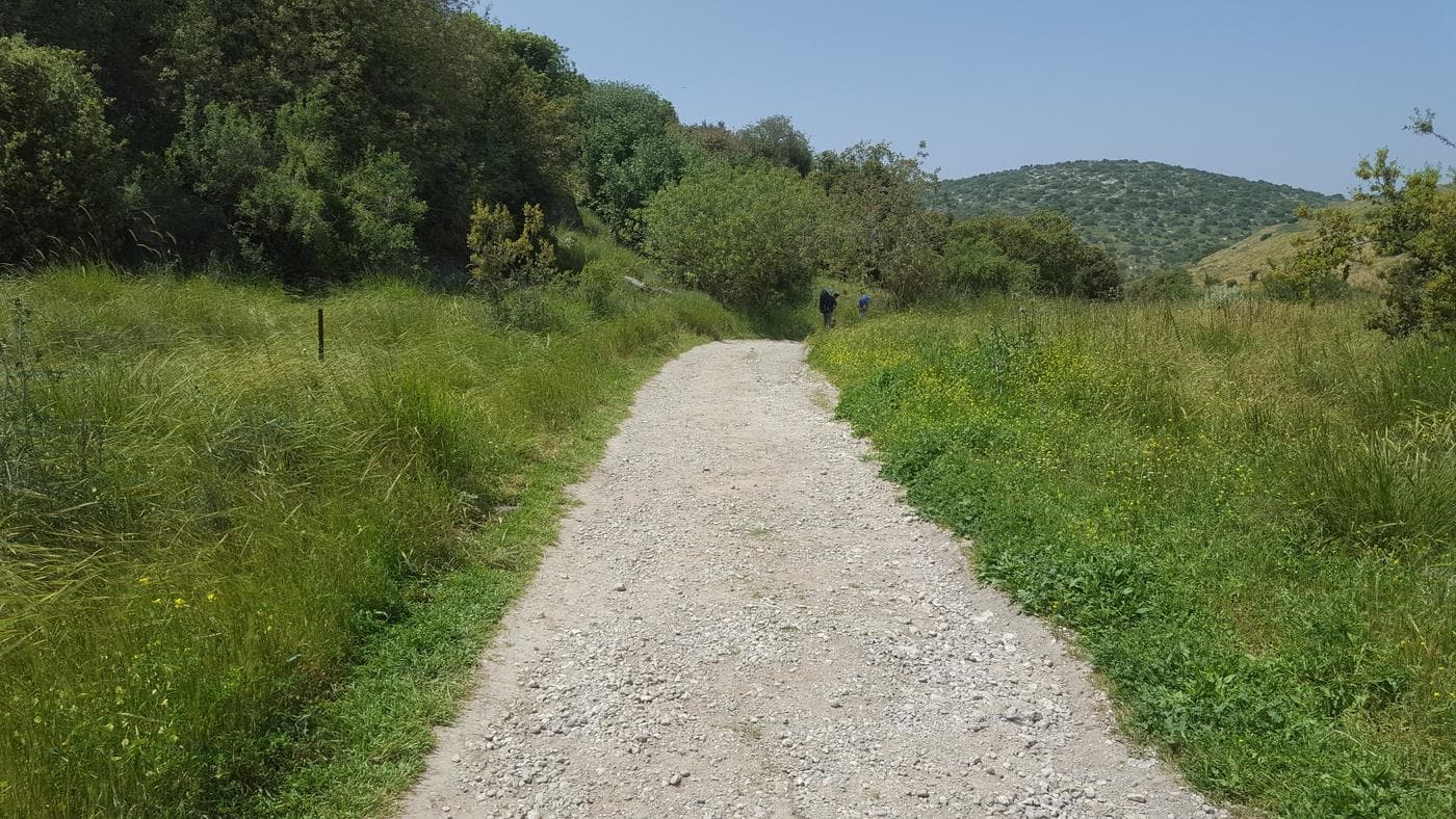 תל שוכה – פריחת תורמוסים, עמק האלה
