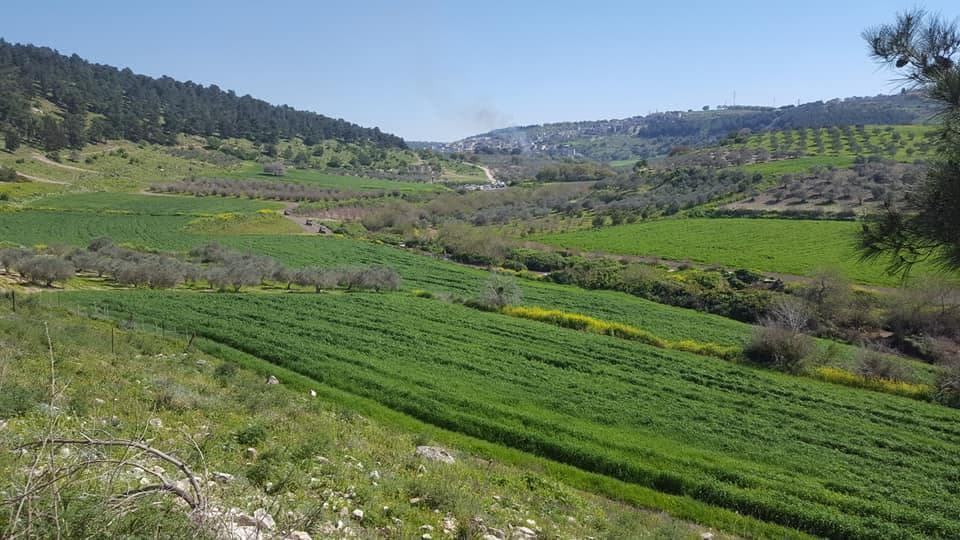 2 מקומות פיקניק בנחל ציפורי - תמונה 6