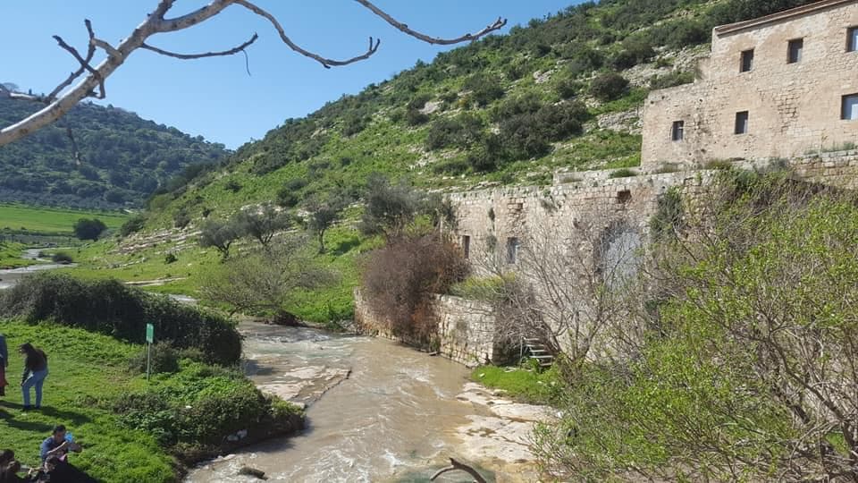 2 מקומות פיקניק בנחל ציפורי - תמונה 8