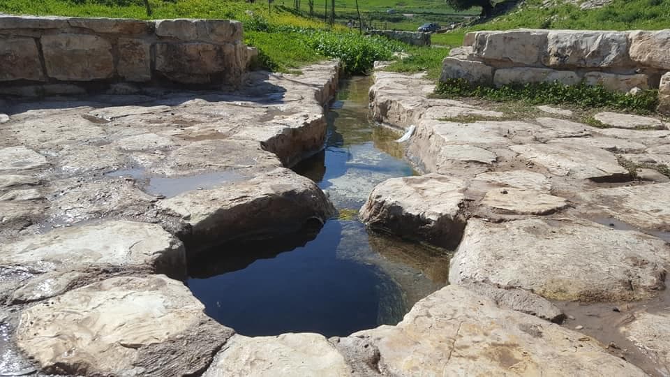 2 מקומות פיקניק בנחל ציפורי - תמונה 9
