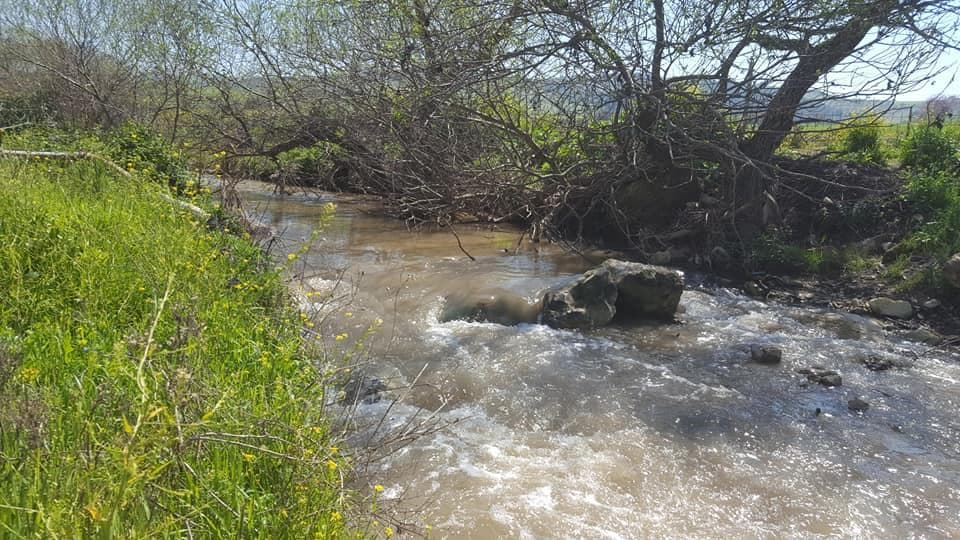 2 מקומות פיקניק בנחל ציפורי - תמונה 12