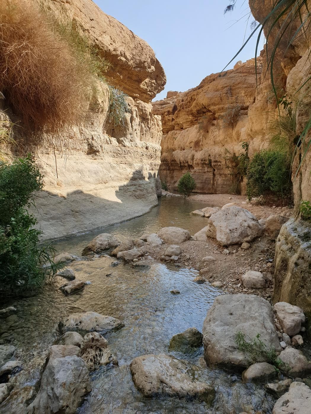 נחל ערוגות – שמורת עין גדי - תמונה מהטיול