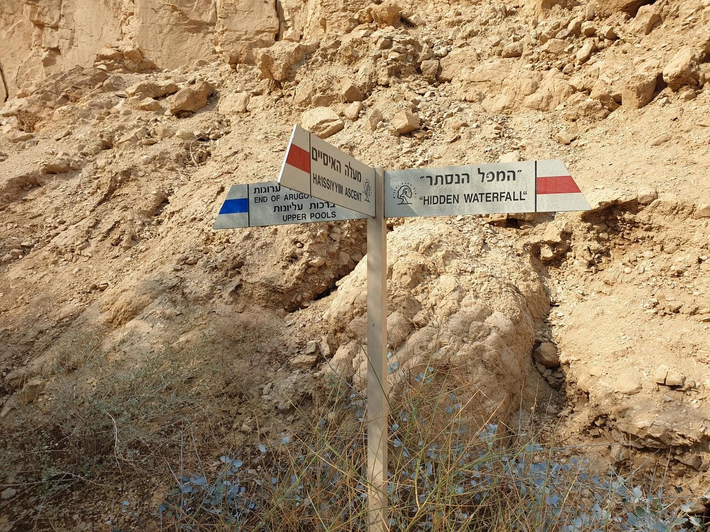 נחל ערוגות – שמורת עין גדי - תמונה 10