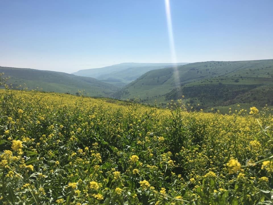 נחל תבור – מצפה אורן ליפשיץ - תמונה מהטיול