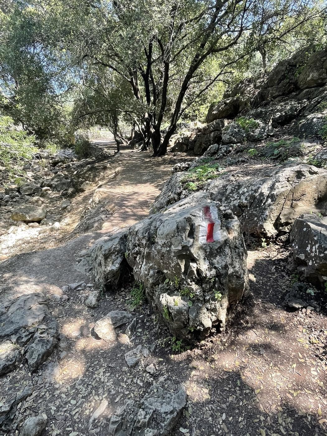 סובב משמר הכרמל – נחל אורן - תמונה מהטיול